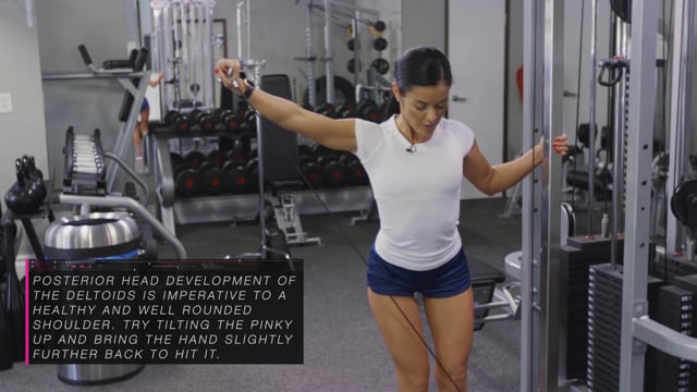 Bent Over Dumbbell Reverse Flys – Shredz Supplements