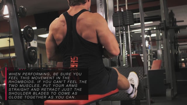 Shredding A Rope A Rope Cable Push Down – Shredz Supplements