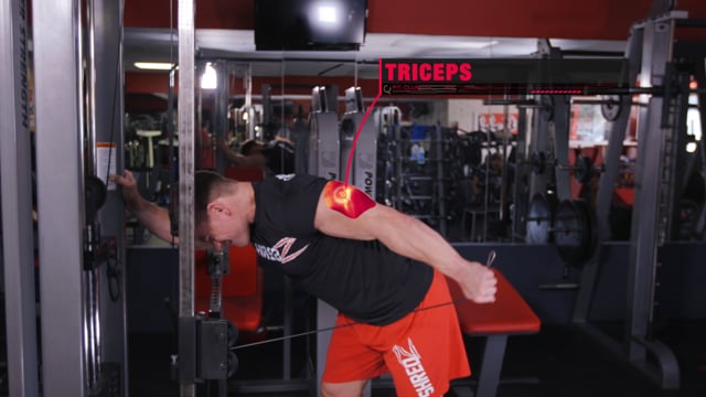 Cable Rope Tricep Extensions